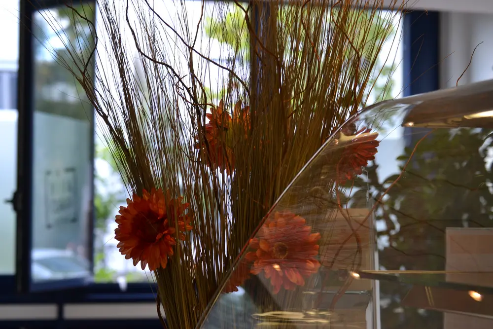 Bistro viva clara (4)